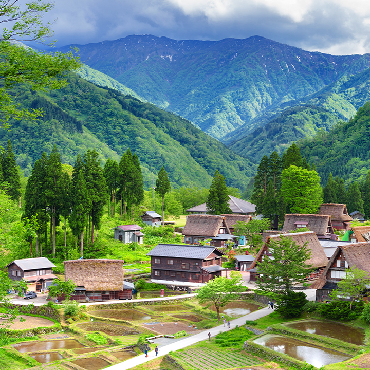 改善生态环境美化生活家园